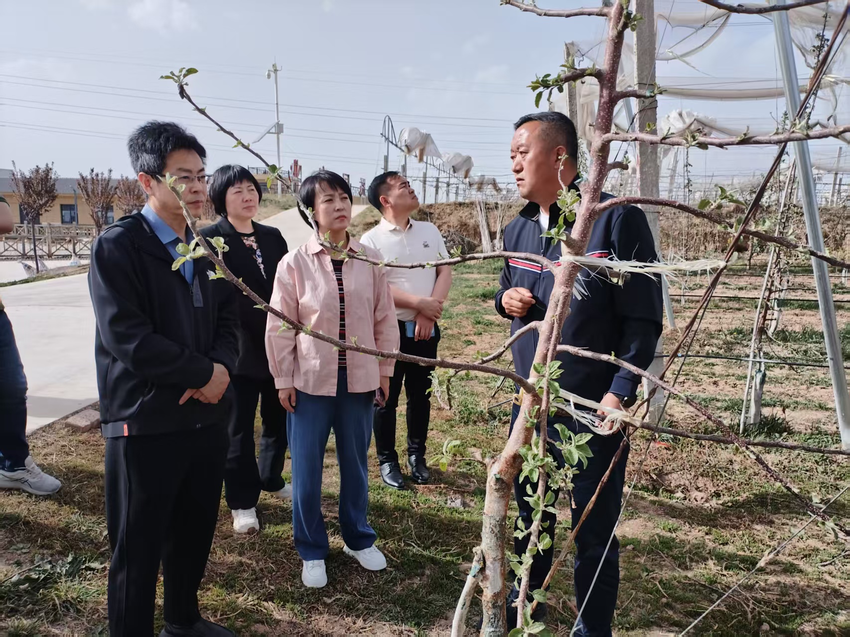 2025年4月16日銅川市供銷(xiāo)合作社王婧副主任與”鮮豐匯“、華東農(nóng)產(chǎn)品交易中